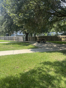Kirbyville_Pine_Shadows 02